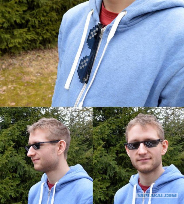 5403585.jpg