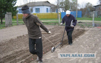 Бездушная посадка картошки