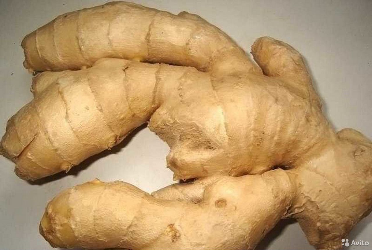 Ginger root ass