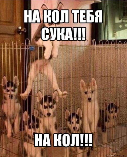 Поставили на кол бдсм 185