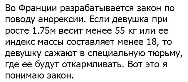 Субботняя порция перлов, высказываний, котоламповых историй