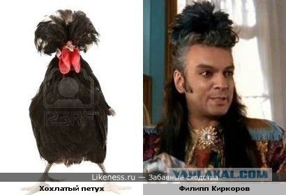 Прическа с петухами