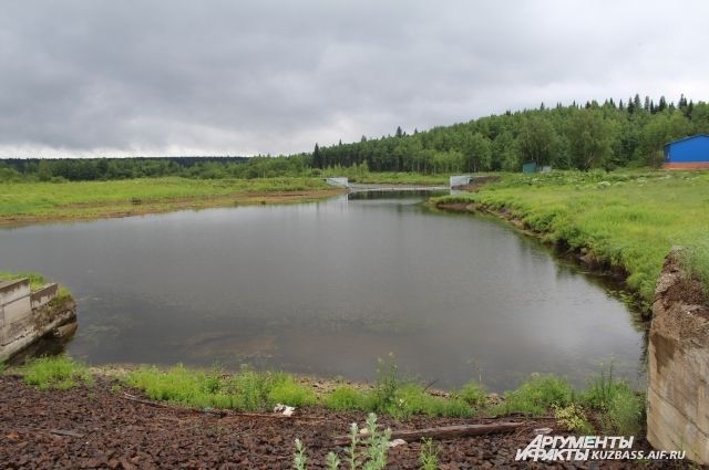 Во Владимирской области озеро с рыбой ушло под землю