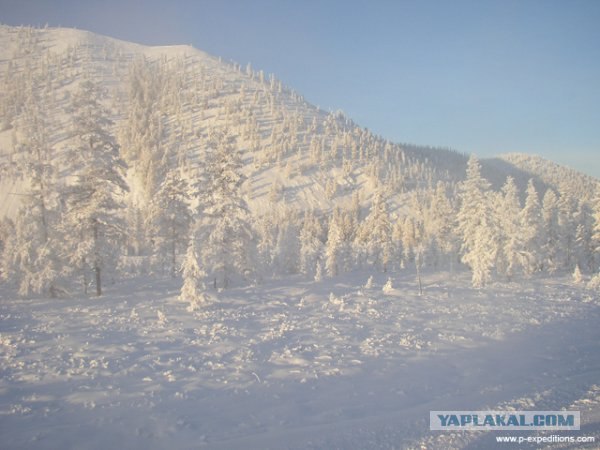 Чупа-чупс из водки