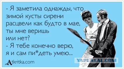 Участница "гонок" на Gelandewagen по решению суда будет работать дворником