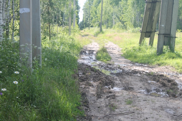 Многодетным семьям выдали участки на болоте, к которому нет дороги