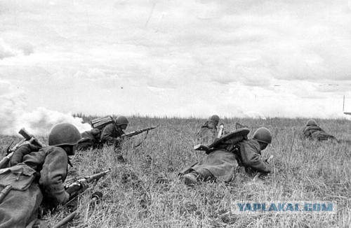 Несколько фотографий Великой Отечественной Войны