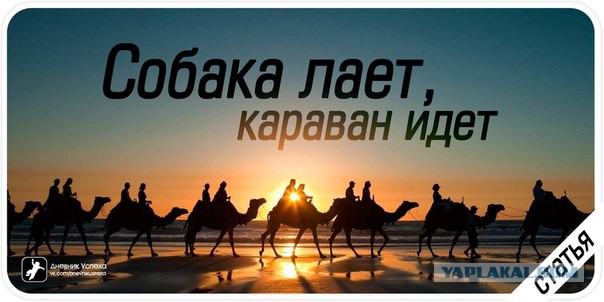 Пословица собаки лают караван идёт Пословица собаки лают караван идёт