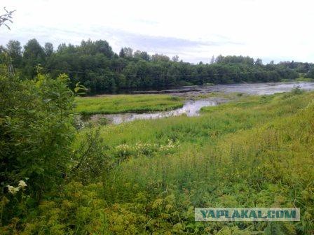 Продам дом в деревне