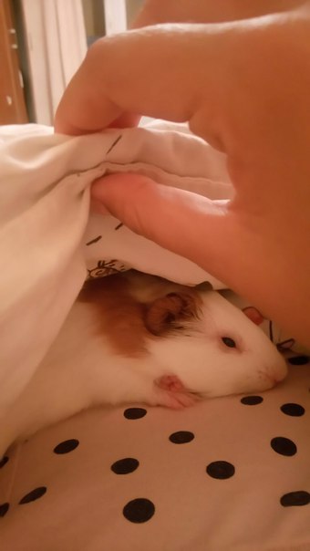 Люди хвастаются