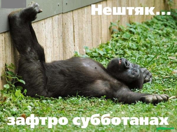 5076206.jpg