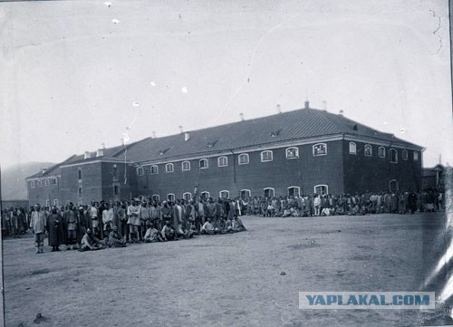 http://s00.yaplakal.com/pics/pics_original/6/0/3/320306.jpg
