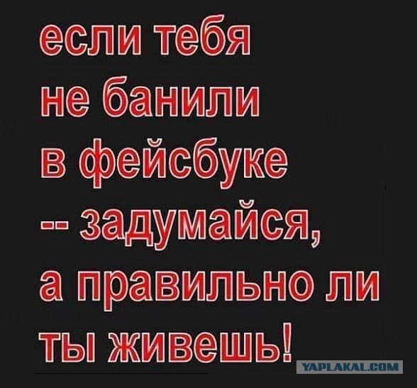 Баны, запреты и стукачи. Сотрудник "Фейсбука" раскрыл тайны работы в России