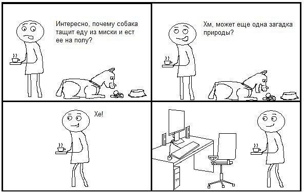 Загадка природы