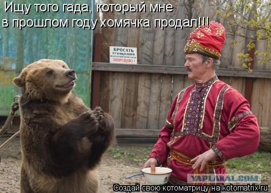 Обычная суббота, обычный Таганрог, мужчина выгуливает медведя во дворе