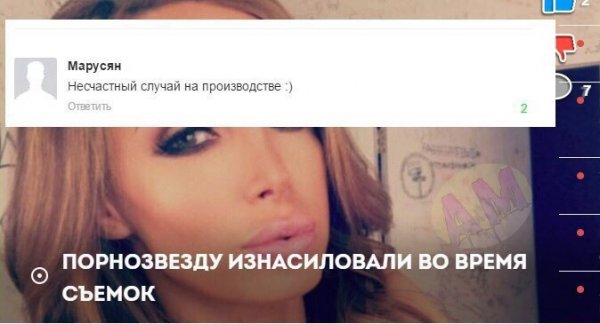 10204216.jpg