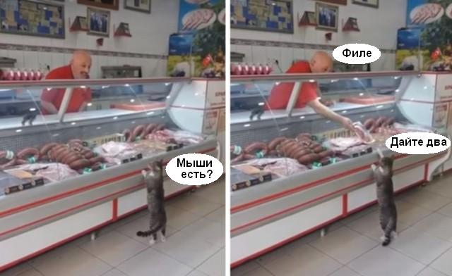 Кот зашёл в мясную лавку и стал выбирать мясо, пока продавец не предложил то, что он хотел