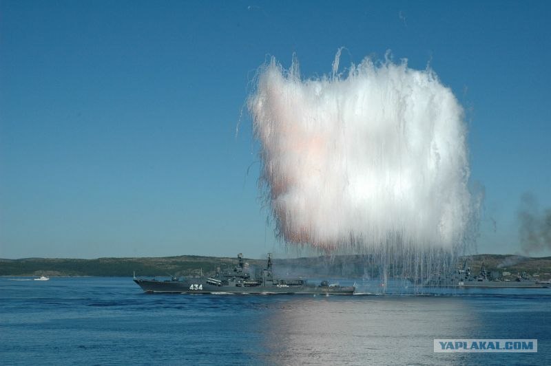 461516.jpg