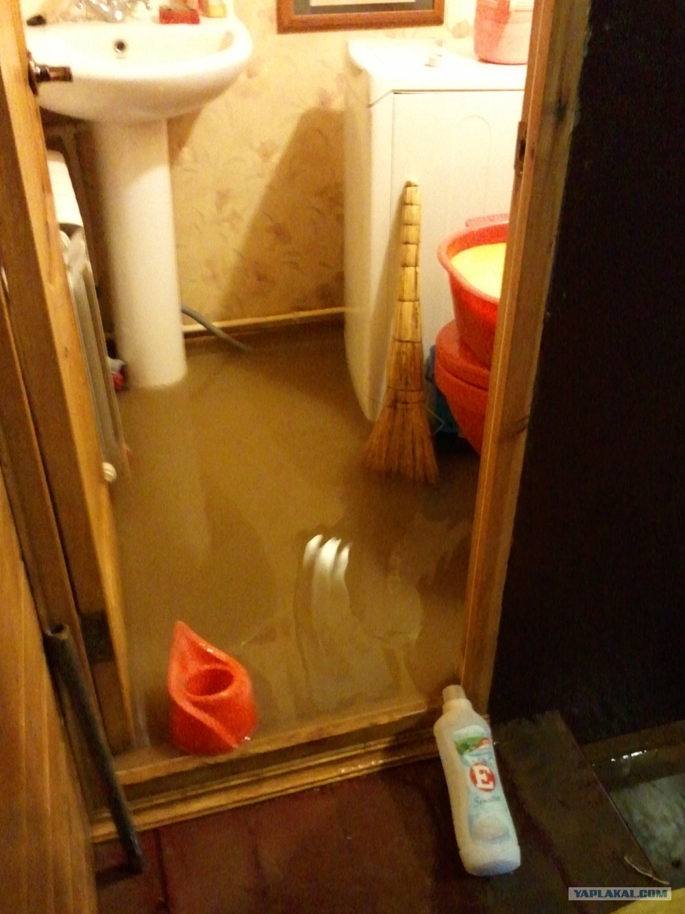Потоп В Квартире Фото Реальные