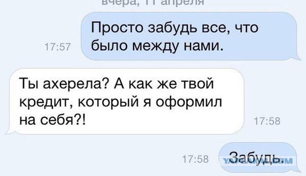 5240026.jpg