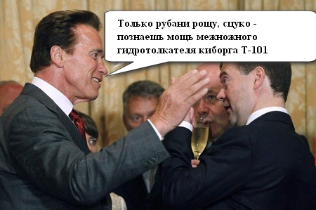 Из-за сына Медведева вырубили березовые рощи