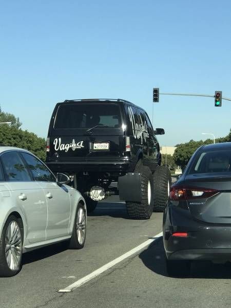 Прикольные картинки абавсём