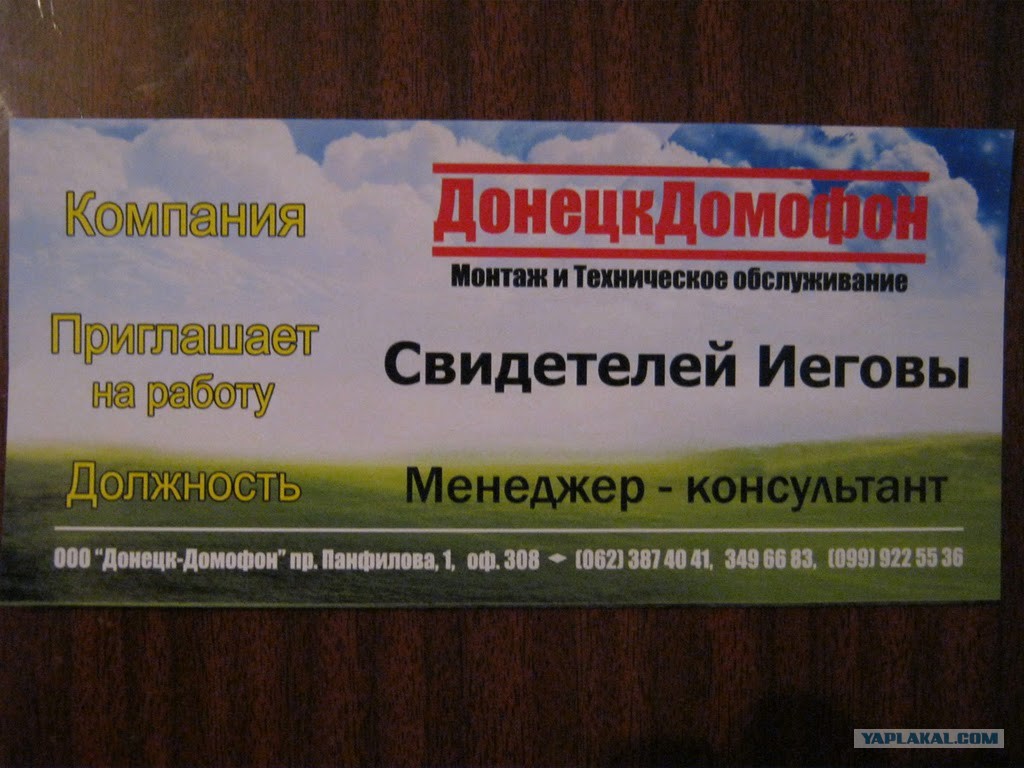 6202326.jpg