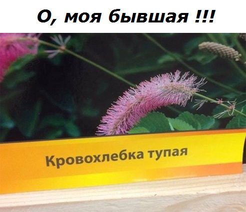 Доколе, я вас спрашиваю?