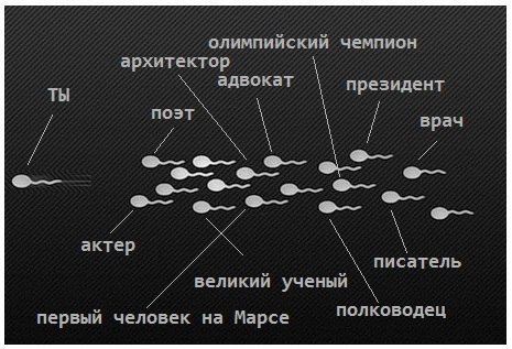 Картинки в черных рамках с подписями