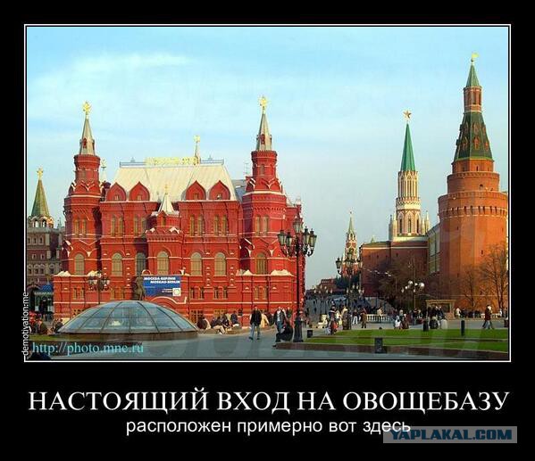 Работа в бирюлево западное свежие вакансии работа в коми на авито свежие вакансии от прямых работодателей