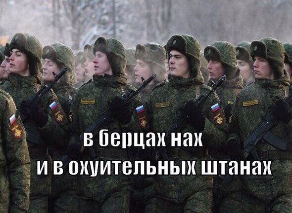 7165036.jpg