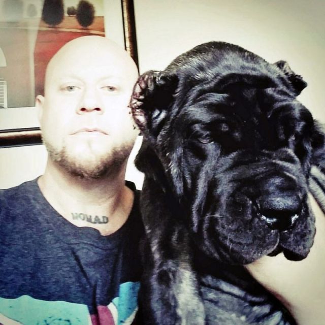 Это самый огромный в мире щенок!