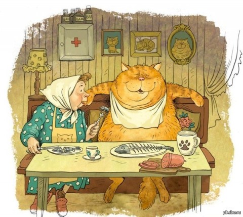 Кот, бабушка, и чайник