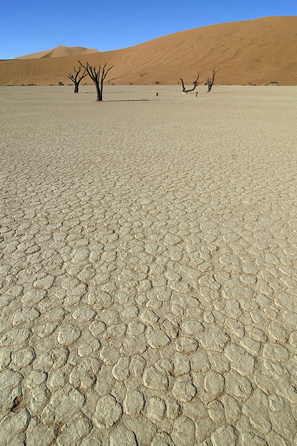 Намиб - Место, где ничего нет...