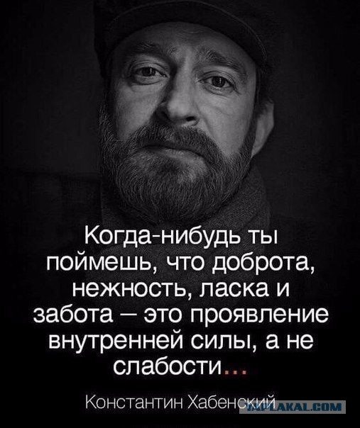 «Аномалией поигрались и выбросили»: в Волгограде в подъезде нашли кошку с врождённым уродством