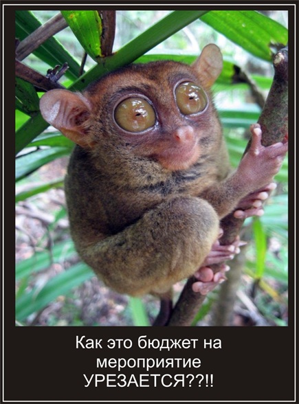 Долгопяты (лат. Tarsius)