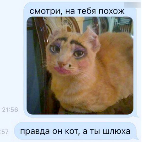 SMS-ки