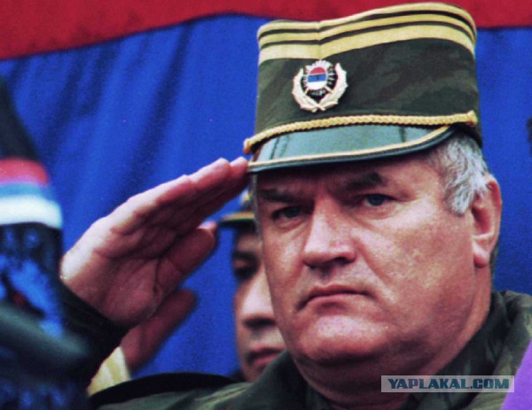 СМИ: Президент Республики Сербской отказался пожать руку американскому послу