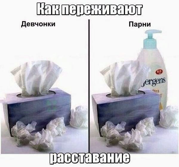 Куда катится жизнь