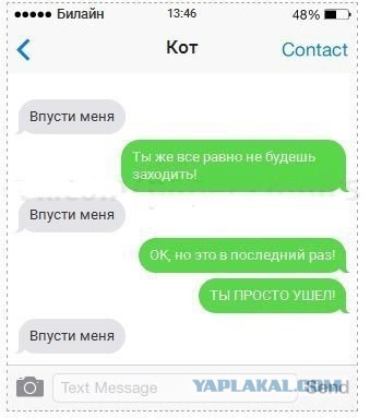 Если бы коты писали смс 2