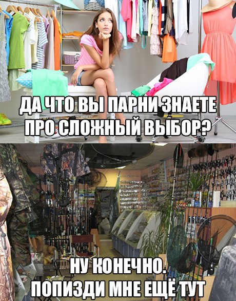 9578946.jpg