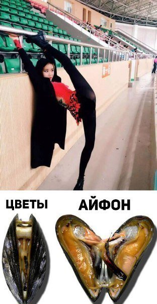 Нестандартный юмор