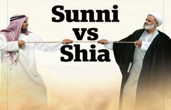 Почему произошло разделение на суннитов и шиитов ?