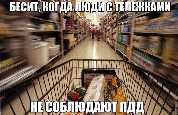10807456.jpg