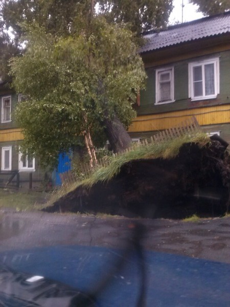 Шторм в Архангельске и Северодвинске валит деревья, срывает крыши