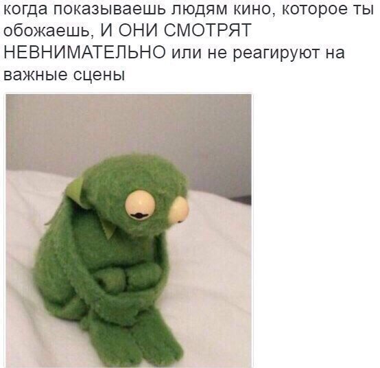 8937456.jpg