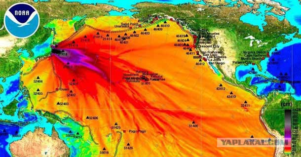 Последствия Фукусимы в Тихом океане