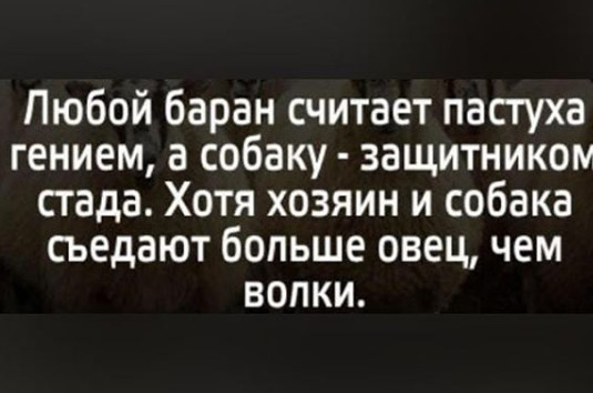 Обращение к В. Путину! О подлецах из Гугла и автономном интернете!