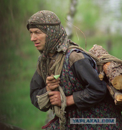 Владимир Путин 18 апреля подписал закон, который позволяет россиянам свободно собирать валежник в лесу