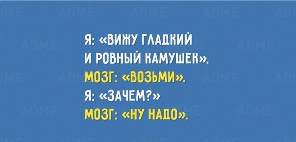 Я vs Мозг